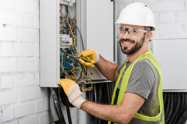Professional Electrician